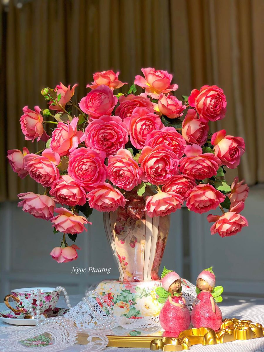 Tử vi hàng ngày - Thứ Bảy 3/12/2022 của 12 cung hoàng đạo